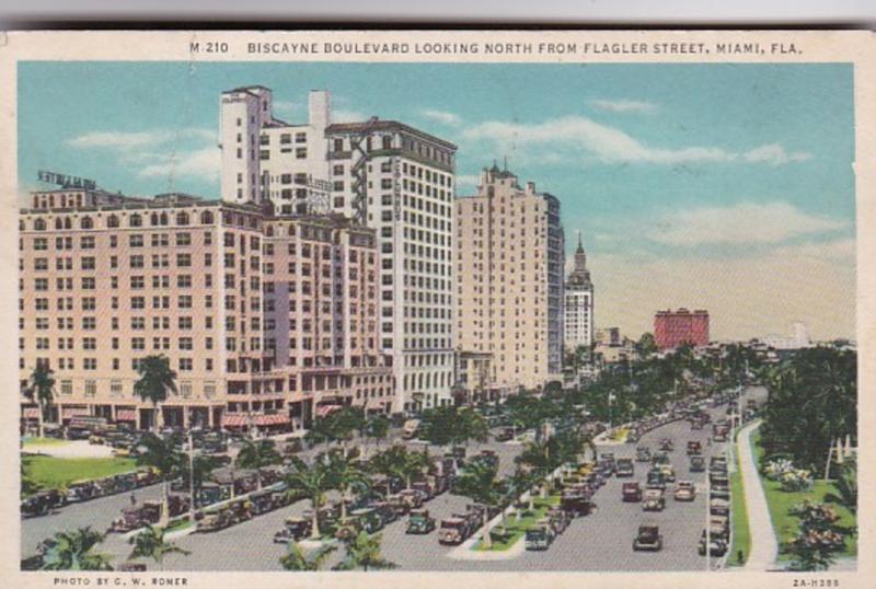 Florida Miami Biscayne Boulevard Looking North From Flagler Street 1933 Curteich