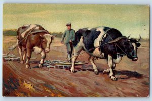 c1910's Farmer Plowing Field Oxen Embossed Athol Massachusetts MA Postcard