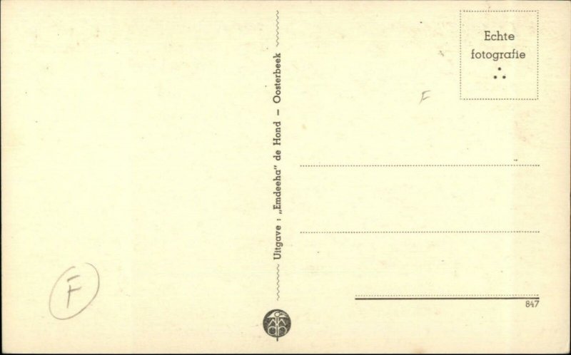 Netherlands Army Panel Truck Van Cadi Cantinewagen Real Photo Postcard