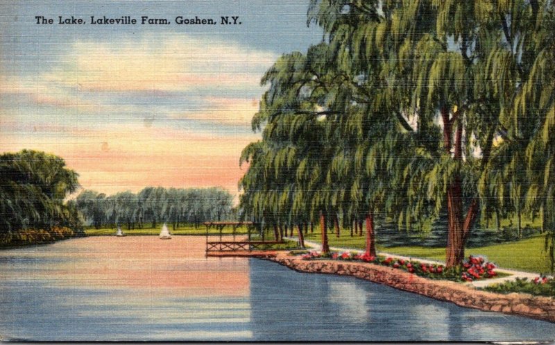 New York Goshen Lakeville Farm The Lake