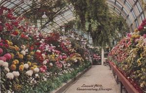 Illinois Chicago Lincoln Park Conservatory 1912