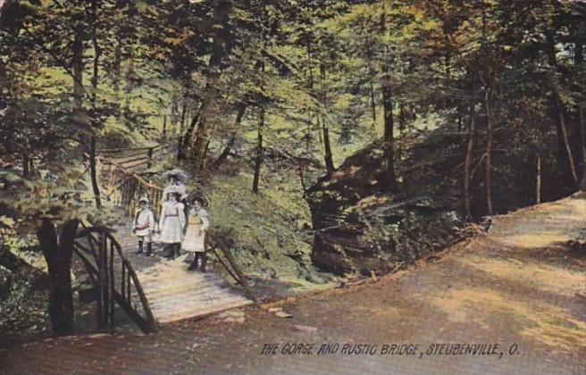 Ohio Steubenville The Gorge and Rustic Bridge 1908 Rotograph