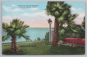Linen~Palms On Waterfront Corpus Christi Texas~Vintage Postcard