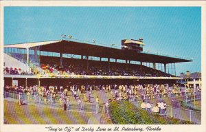 Dog Racing They're Off At Derby Lane St Petersburg Florida