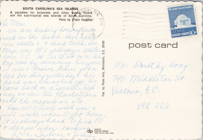South Carolina Sea Islands SC Vintage Postcard C8