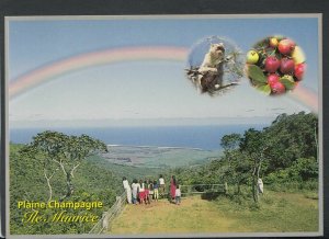 Mauritius Postcard - Plaine Champagne  T7793