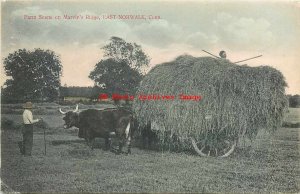CT, East Norwalk, Connecticut, Farm Scene On Marvin's Ridge, 1908 PM, No 6041 