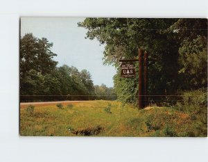 Postcard Entering Davy Crockett National Forest East Texas USA