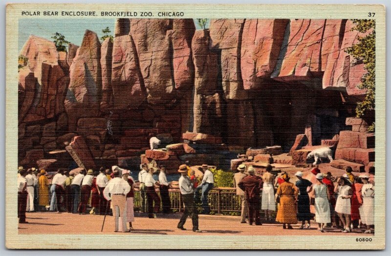 Vtg Chicago Illinois IL Polar Bear Enclosure Brookfield Zoo 1940s View Postcard