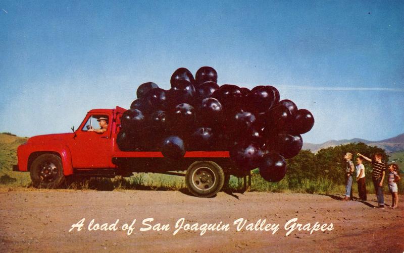 Exaggeration - A Truckload of Giant Grapes. San Joaquin Valley, CA