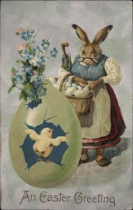 Winsch Easter Fantasy Mother Rabbit Apron Glasses Eggs c1910 Postcard