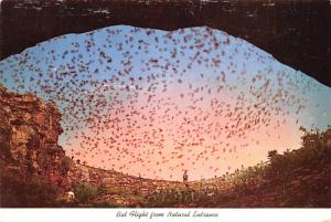 Bat Flight - Carlsbad Caverens National Park, New Mexico