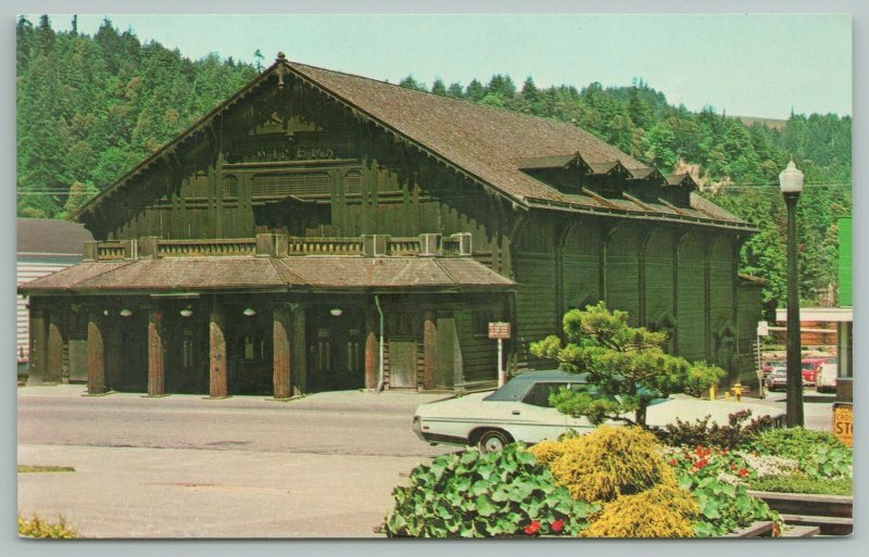 Scotia California~Redwood Theatre~Vintage Postcard