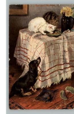 Dachsund Dog Watches Cats Eat on Table c1910 Postcard