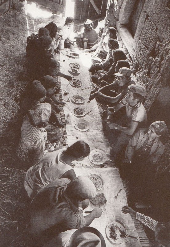 Portugal Poverty Eating Off Floor Postcard