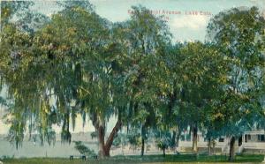 East Central Avenue Lake Eola 1911 Orlando Florida postcard 228