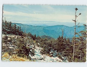 Postcard Mt. Mitchell State Park North Carolina USA