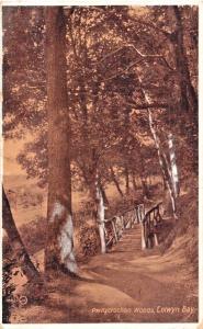 CONWYN BAY WALES UK~PWLLYCROCHAN WOODS ~ POSTCARD