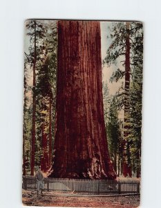 Postcard General Sherman, Southern Pacific, Giant Forest, California