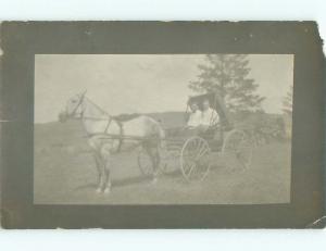 Chipped Pre-1918 rppc BEAUTIFUL WHITE HORSE WITH CARRIAGE o1757