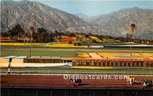 Framed by palm tree, the San Gabriel Mountains Santa Anita Horse Racing Unused 