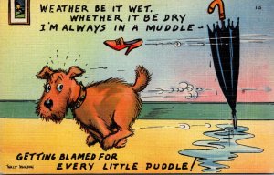 Humour Dog Wether Be It Wet Or Dry