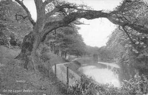 uk15954 on the lagan  belfast real photo uk