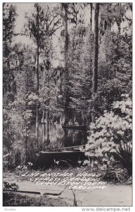 RP, Cypress Gardens, Boating, Charleston, South Carolina, 1930-1950s