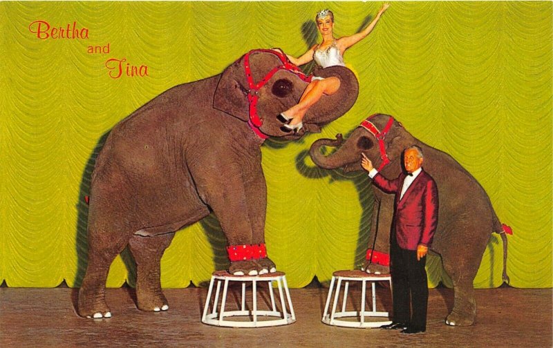 Sparks Nevada 1960s Postcard Nugget Casino Bertha & Tina Performing Elephants