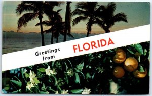 Postcard - Greetings from Florida