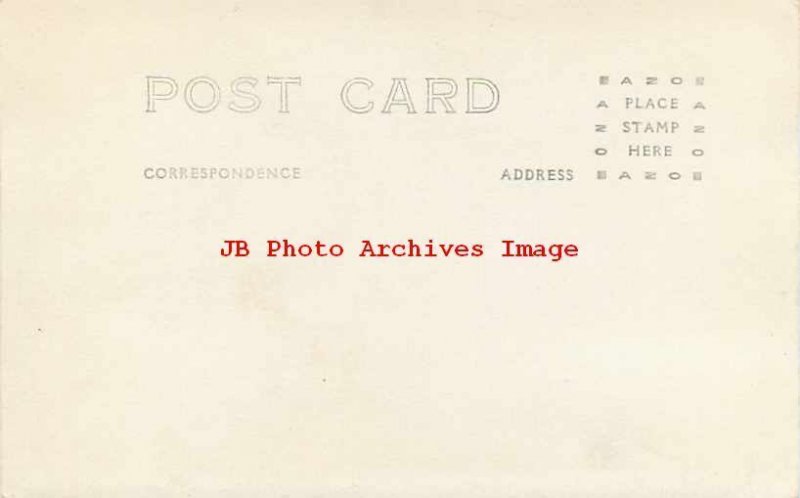 Grand Canyon National Park, RPPC, Panorama Scenic View, Joshua Tree