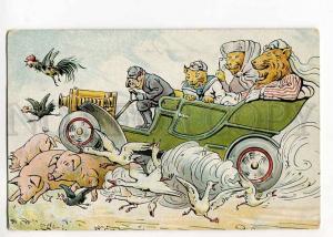 264873 Dressed BULLDOG & LION in CAR Pigs Vintage postcard