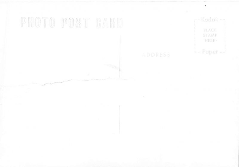 Vintage RPPC Idaho State Flower Postcard by Ross Hall 3.5x5