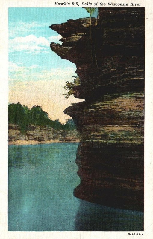 VINTAGE POSTCARD HAWK'S BILL AT THE DELLS OF THE WISCONSIN RIVER MAILED 1950