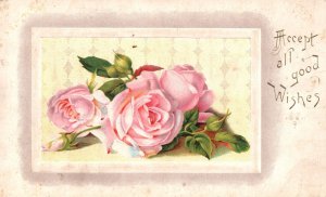 Vintage Postcard Accept All Good Wishes Greetings Card Pink Roses Flowers Blooms