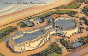 Aerial View of Marine Studios  Marineland FL 