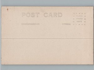 RPPC Postcard Lake Crescent From Mount Storm King WA c1940