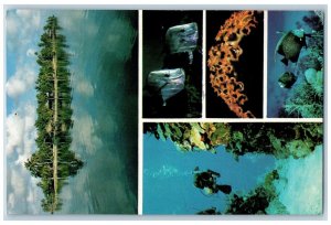 Roatan Bay Islands Honduras Postcard Anthony's Key Resort c1960's Multiview