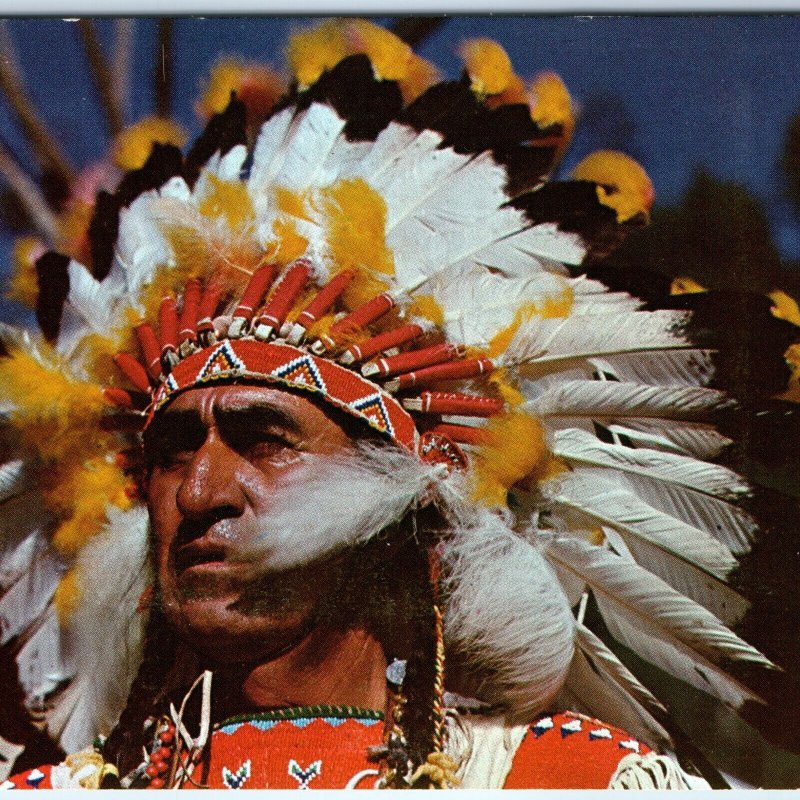 c1970s Indian Chief Big Cloud Native Regalia Headdress PC Pub Hawthorne, NJ A319