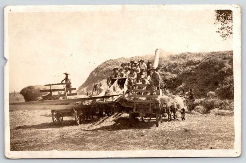 Real Photo Postcard~Farmers Threshing Hay~Pulley~Giant Hay Mound~c1915 RPPC