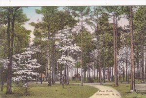 North Carolina Pinehurst Path Through Deer Park Handcolored Albertype