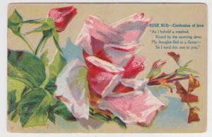Louisburg to Potosi WI Miss Maggie Timmernez Roses Poem Vintage Postcard C02