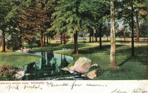 Vintage Postcard 1907 View of Branch Brook Park Newark New Jersey N. J.