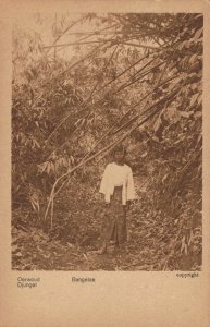 Indonesia Oerwoud Jungle Bangelan Java 04.84
