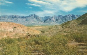 Chisos Mts., Big Bend National Park, Texas Postcard 2T5-143