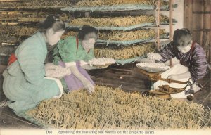 Japan Spreading The Maturing Silkworms Carte Postale Postcard