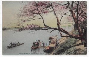 Cherry Blossom Season Sumida Bank Tokyo Japan Hand-Colored Postcard Early 1900s