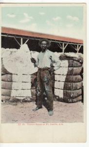 BLACK AMERICANA  Fort Smith, AR  COTTON, MAN  postcard