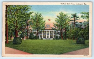 LEXINGTON, Kentucky KY ~ WALNUT HILL FARM 1947 Linen  Postcard