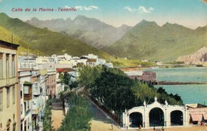 Spain Tenerife Calle de la Marina Vintage Postcard 08.25